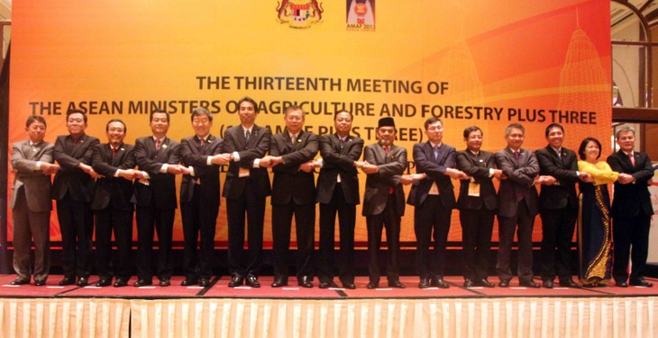ASEAN+3 steps up agricultural cooperation - ảnh 1